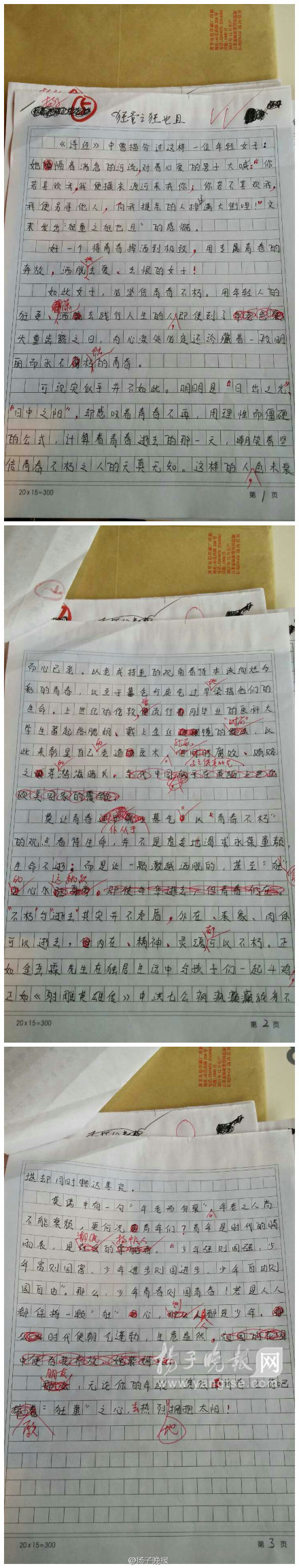 2014年江苏高考优秀作文：狂童之狂也且（图）2