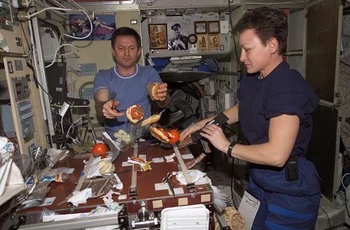 NASA替将来登陆火星的航天员研发食谱4