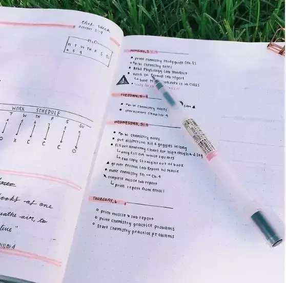 学习有窍门：清华北大的学霸如何考高分5