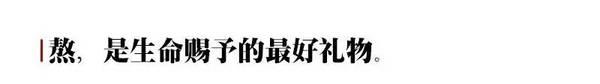 致正为高考奋斗的你10