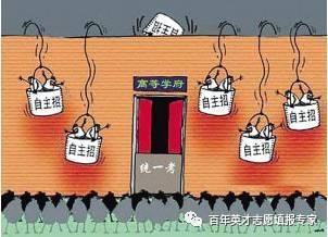 自主招生：高考前多一重保险，多一次机会3