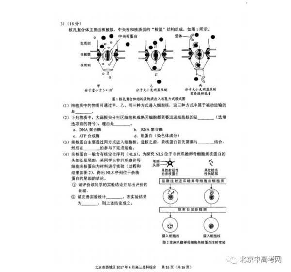 西城区2017年高三一模（理综）试卷答案及试卷分析16