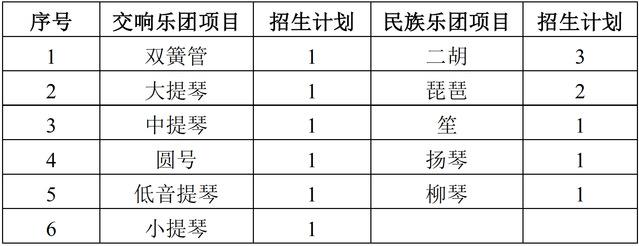 南京大学2019年高水平艺术团招生简章1